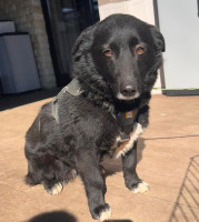 /album/18/whatsapp-image-2026-04-17-at-11-09-39-1-jpeg/